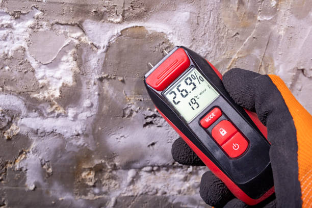 Home Mold Removal in Lynnville, IN