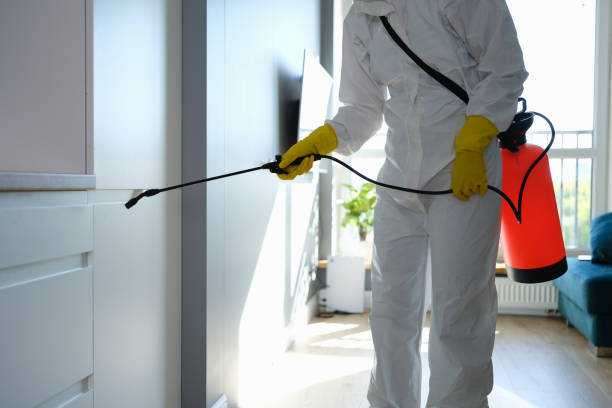 Best Residential Mold Removal  in Lynnville, IN