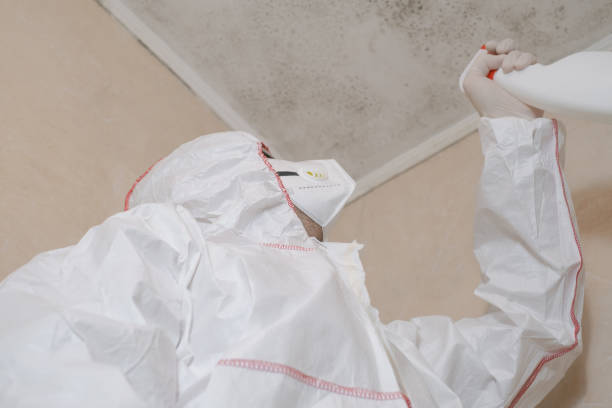 Best Certified Mold Removal  in Lynnville, IN